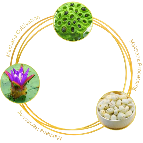 cycle